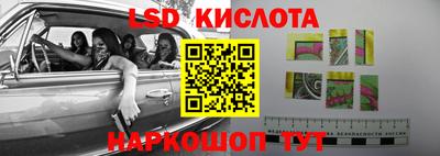 спиды Камышлов