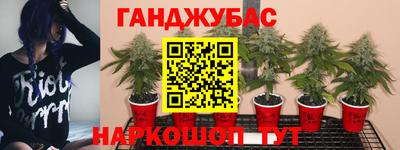 скорость Кандалакша