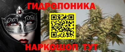 спиды Камышлов