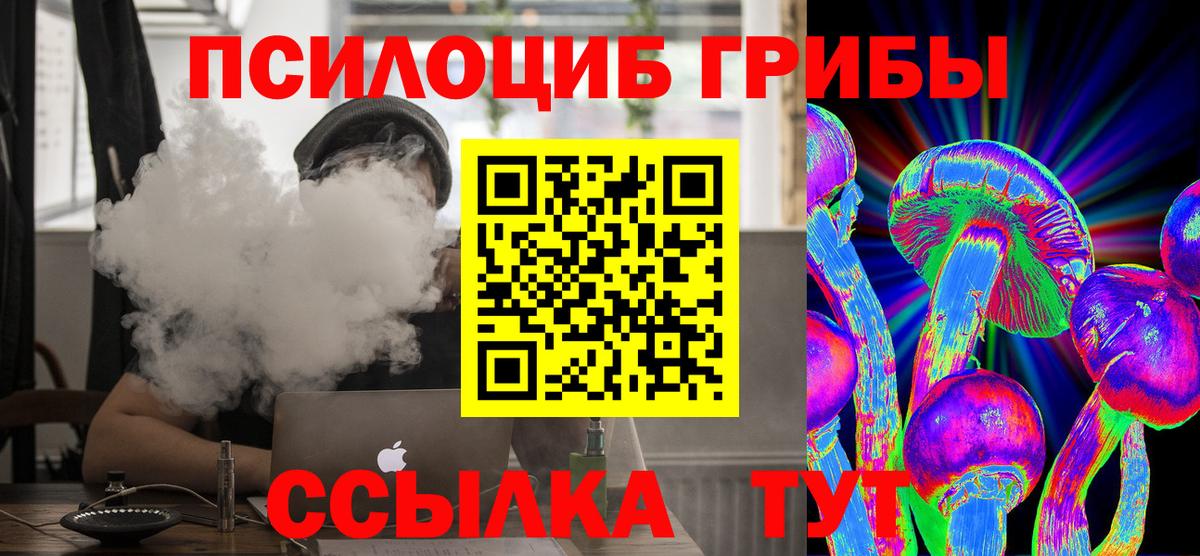 Майский  Галлюциногенные грибы MAGIC MUSHROOMS  Вход с VPN 